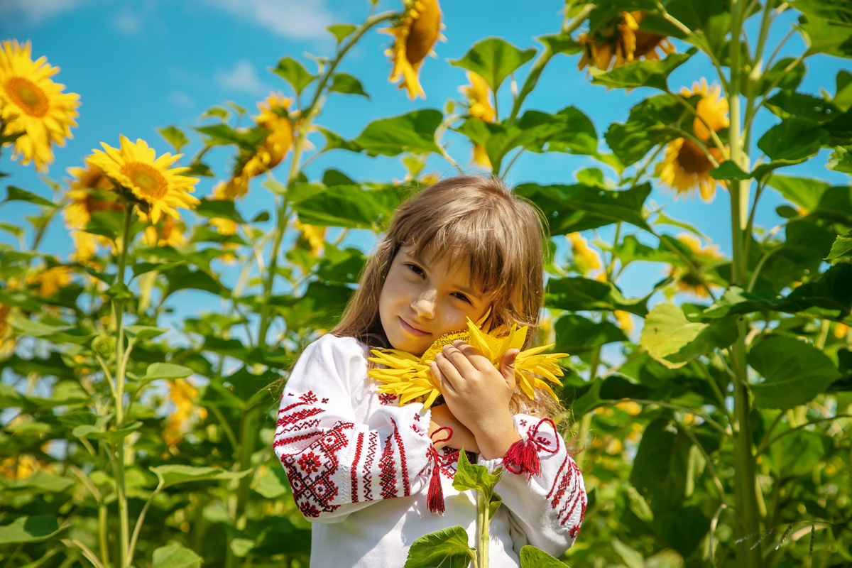 Young Girl Hugging Sunflower during Spring